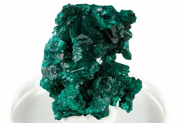 Gemmy Dioptase Crystal Cluster - Congo #326562